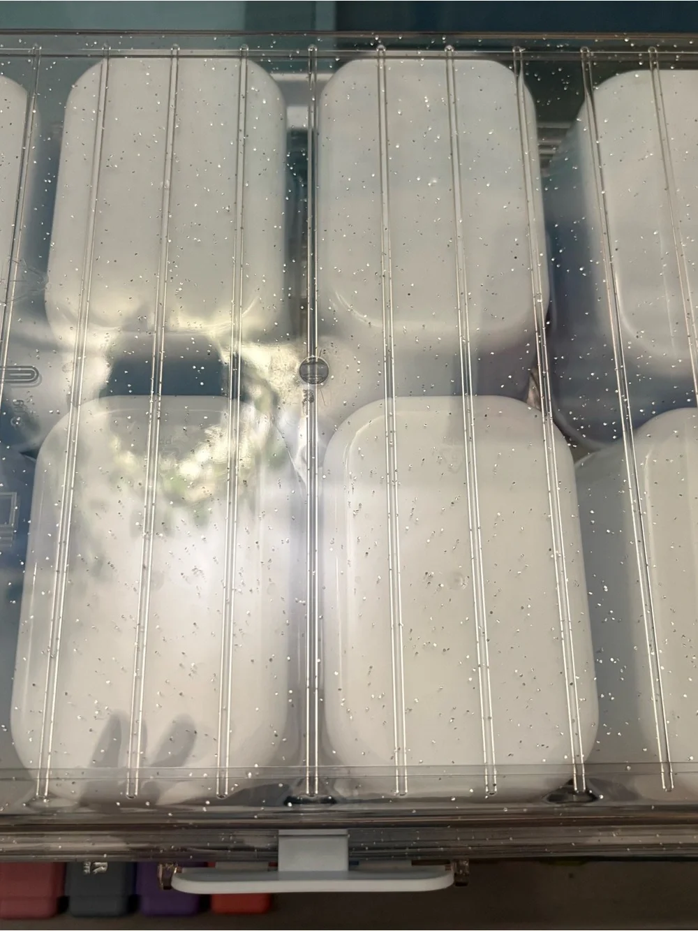 Target Clear/White Plastic Meal Prep Container with Dividers